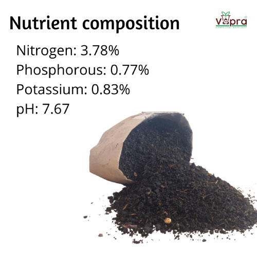 100 Forchetta CPLA Nero Posata Bio Compost Monouso 168mm